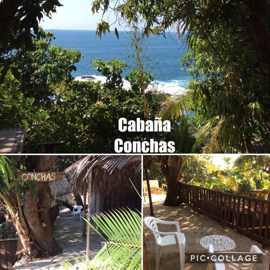 Donde Mira El Sol, Promo Primavera Hasta 50 Por Ciento (Adults Only) 阿卡普尔科 外观 照片