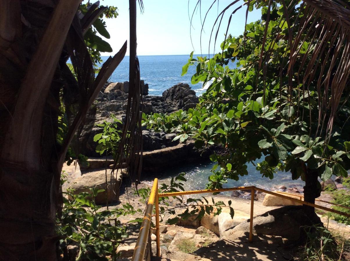 Donde Mira El Sol, Promo Primavera Hasta 50 Por Ciento (Adults Only) 阿卡普尔科 外观 照片