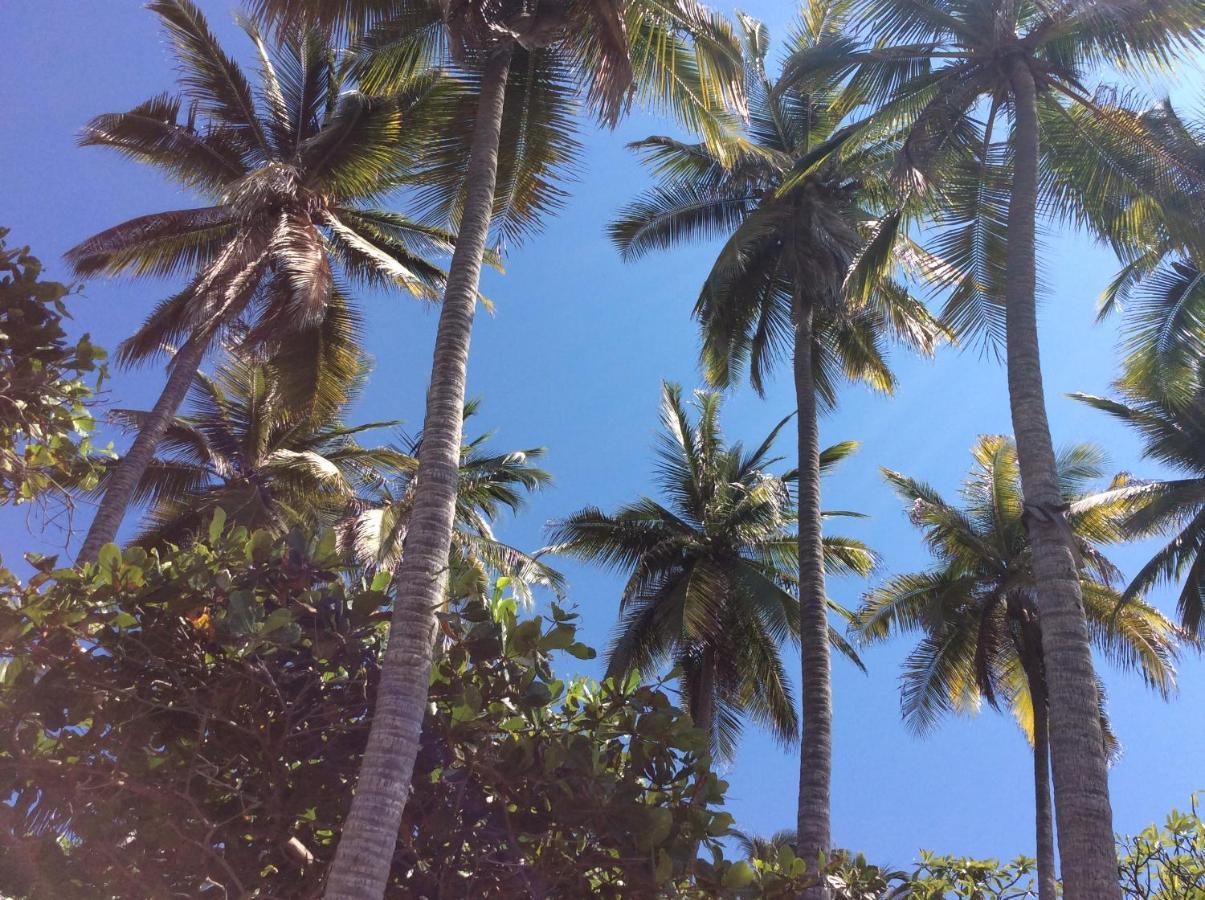 Donde Mira El Sol, Promo Primavera Hasta 50 Por Ciento (Adults Only) 阿卡普尔科 外观 照片