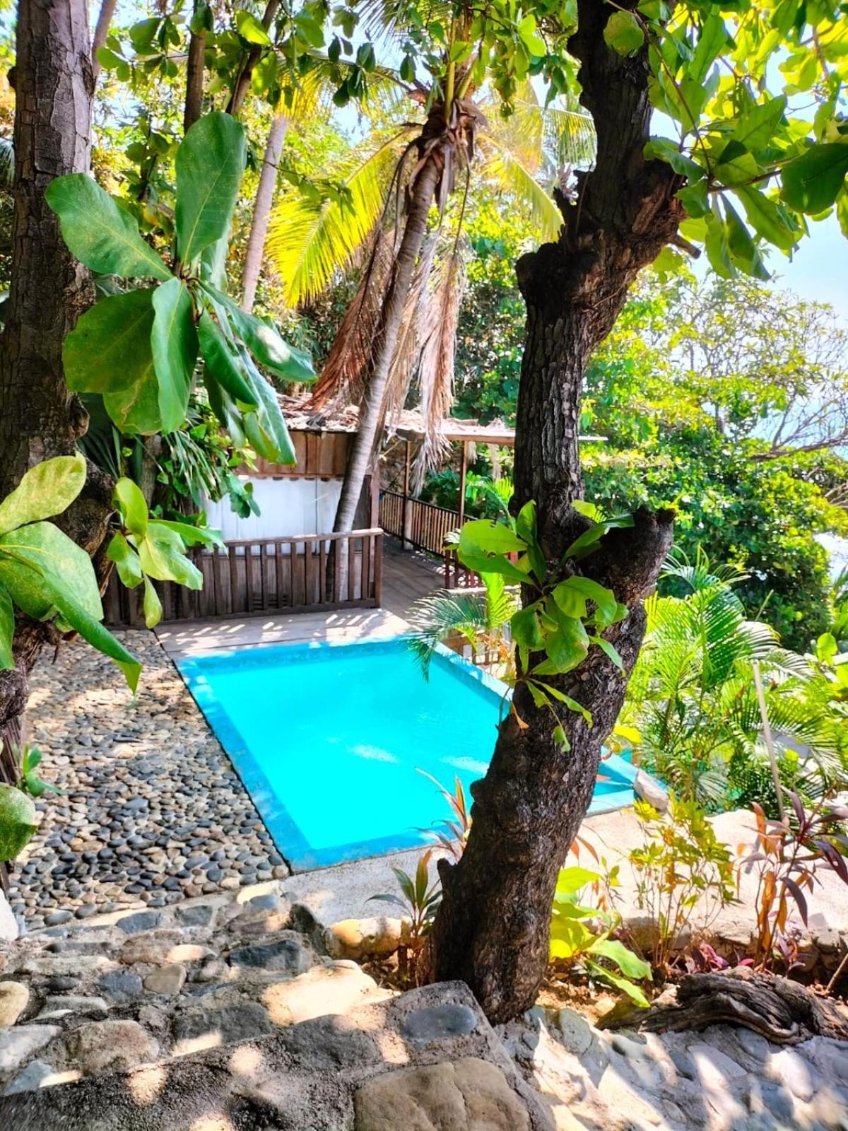Donde Mira El Sol, Promo Primavera Hasta 50 Por Ciento (Adults Only) 阿卡普尔科 外观 照片